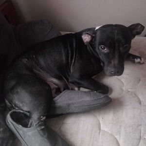 Meet your Posher, Caleb